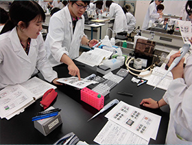 動物細胞の移動の測定(生物学実験)