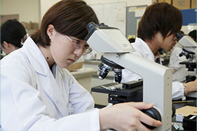 顕微鏡の取り扱い(生物学実験)