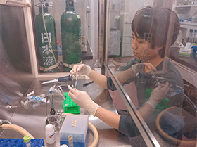 ガン細胞からのRNAの抽出(分子細胞機能グループ)