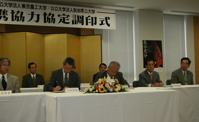 080718nokodai.jpg 080718nokodai.jpg
