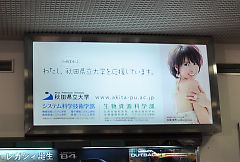 到着ロビー看板(加藤夏希さん)